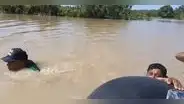 Agricultores tienen que nadar para ingresar a sus terrenos inundados tras desborde de río en Piura