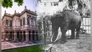 El sangriento final del guardián japonés que convivió con Charles, el elefante del Parque de la Exposición