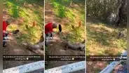 Adulto mayor se defiende de un cocodrilo solo con su sartén: "Con los abuelos ni el diablo"