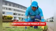 ¿Buscas trabajo? Municipalidad de San Miguel abre convocatoria con sueldos de hasta S/2.500