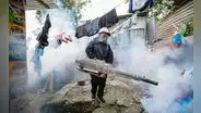 El azote del dengue