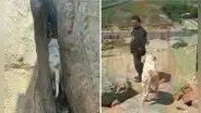 Rescatan perrita que quedó atrapada en medio de un peñasco en Trujillo