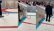 Met Gala 2023: cucaracha pasa por la alfombra roja y es fotografiada por los asistentes