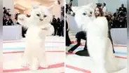 Jared Leto impacta al aparecer vestido de gato en la MET Gala 2023: ¿por qué hizo esto el actor?