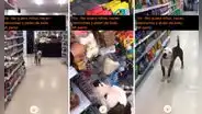 Perro ladra a su dueño para que le compre su juguete favorito: "Es un hijo más"