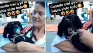 Perrito llora cuando su ama le saca el chupón de la boca y enternece en redes sociales :”Morí de amor”