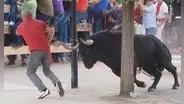 Carnicero murió corneado por un toro: pensó que estaba muerto tras ser inmovilizado en corrida