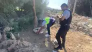 Encuentran a bebé recién nacida que fue abandonada en una caja en Ica