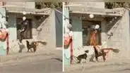Perritos se divierten con globos en la calle y enternecen en redes sociales: “Divinos”