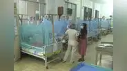 Dengue en Perú: ¿cuál es la diferencia con los síntomas de un resfriado?