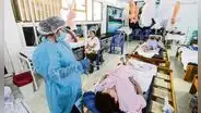 Colegio Médico del Perú alerta sobre incremento explosivo de casos de dengue