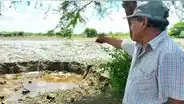 Quebrada Pajaritos continúa desbordándose e inundando cultivos en Piura