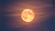 Eclipse lunar HOY, EN VIVO: a qué hora y cómo ver el eclipse de la luna de flores
