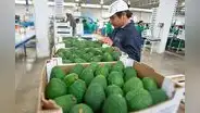 Mincetur lanza tercera convocatoria del Programa de Apoyo a la Internacionalización a emprendedores