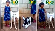 Niña disfraza a sus 2 perros para narrar el cuento del elefante Bernardo y el burro Cándido