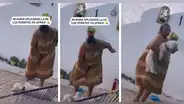 Madre sorprende al 'regañar' a su perrito por no querer comer: "Esa la aplico yo también"