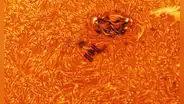 Captan impresionante fotografía de la Estación Espacial Internacional pasando por delante del Sol