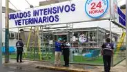 Veterinaria Animal Surco 24 horas fue clausurada por cambiar giro de negocio sin autorización