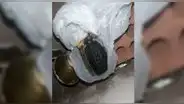Comas: sujeto intenta extorsionar una botica con granada, pero es capturado por la PNP