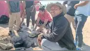 Persiste crisis en frontera del Perú y Chile pese a vuelo humanitario: extranjeros hacen olla común
