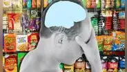¿Cuáles son los alimentos que pueden dañar nuestra memoria, según Harvard?