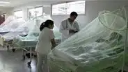 En La Libertad piden emergencia por dengue