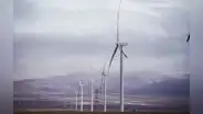 Congreso bloquea ley que bajaba los precios de la luz con energías eólica y solar