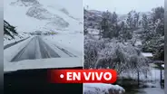Nieve en Cusco, noticias EN VIVO: situación ameritaría declaratoria de emergencia, según funcionario