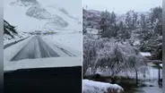 Nieve en Cusco: situación ameritaría declaratoria de emergencia, según funcionario