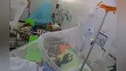 Dengue sigue causando más muertes en Lambayeque y La Libertad