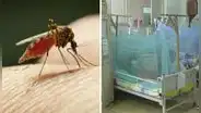 Dengue en Perú: ¿cuáles son los distritos de Lima con más infectados por la enfermedad?