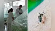 Dengue en Perú: ya son más de 69.000 casos y 73 personas fallecidas