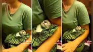 Joven sale de fiesta y se lleva a su gatito: "A cargar con la bendición"