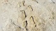 Humanos poblaron América 10.000 años antes de lo que se creía, sugiere estudio