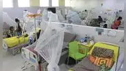 Emergencia nacional: dengue avanza sin control y van 74 muertos en el país