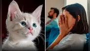 Le pidió el divorcio a su esposo por regalar a su gato sin su permiso mientras estaba de viaje