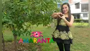 Amaranta feliz por cantar caporales y morenadas: “Nunca vamos a dejar de hacer tunantada”