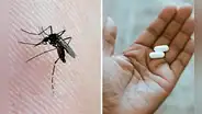 Dengue en Perú: ¿qué se puede tomar si una persona es alérgica al paracetamol?