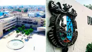 UNMSM implementará nuevas carreras profesionales: ¿cuáles son?