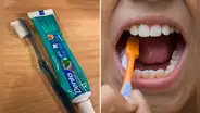 ¿Cada cuánto tiempo debo cambiar mi cepillo de dientes por uno nuevo?