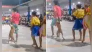 Perrito interrumpe danza de jóvenes y es viral en redes: "Todo el show para Firulais"