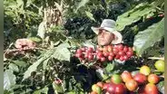 Café peruano: luces y sombras de una campaña 2023 incierta