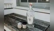 Pisco SUYO: emprendimiento busca poner a los pequeños productores de viñedos en los ojos del mundo