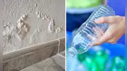 ¿Cómo reducir la humedad dentro de mi casa con botellas de plástico?