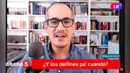 Gómez Fernandini: Playa de Rafael López Aliaga es una burla a todos los vecinos