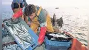 Autógrafa que prioriza la pesca artesanal en las 5 millas será promulgada