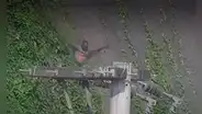 Barranco: delincuente se deslizó por acantilado de la Costa Verde para evitar ser intervenido