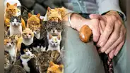 El caso de Clara Tobón: la mujer que murió en soledad y fue devorada por sus gatos