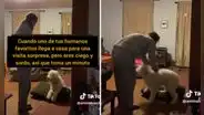 Perrito con ceguera tarda en reconocer a su dueña cuando llega a casa, y ella lo abraza