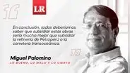 Qué se debe subsidiar, por Miguel Palomino